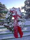 snowwreath.jpg (25727 bytes)